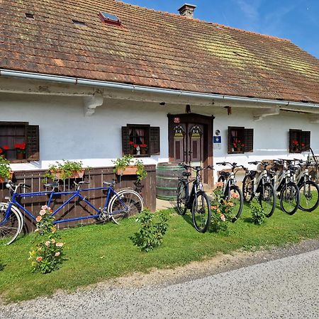 Homestay Kapl Ledinek 외부 사진