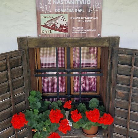 Homestay Kapl Ledinek 외부 사진