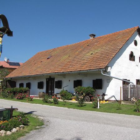 Homestay Kapl Ledinek 외부 사진