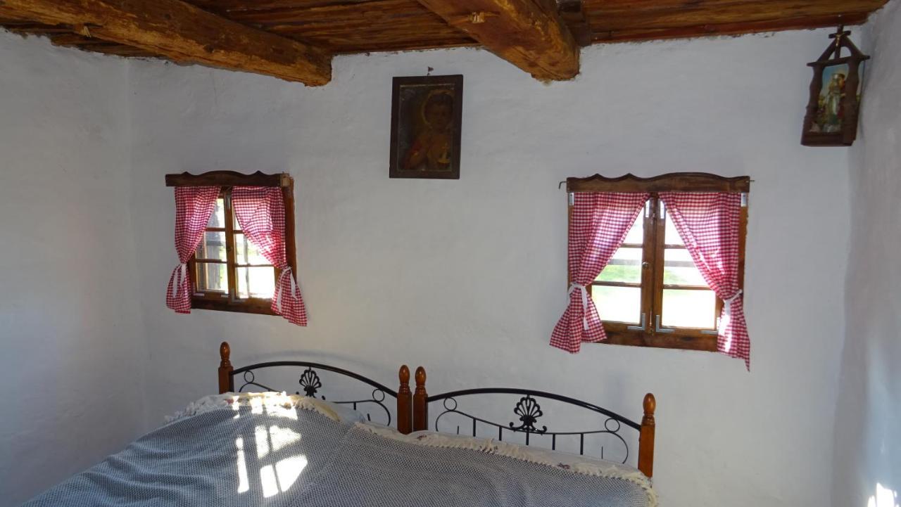 Homestay Kapl Ledinek 외부 사진