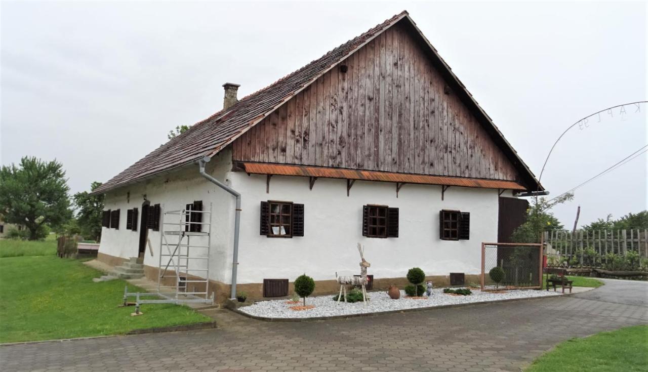 Homestay Kapl Ledinek 외부 사진