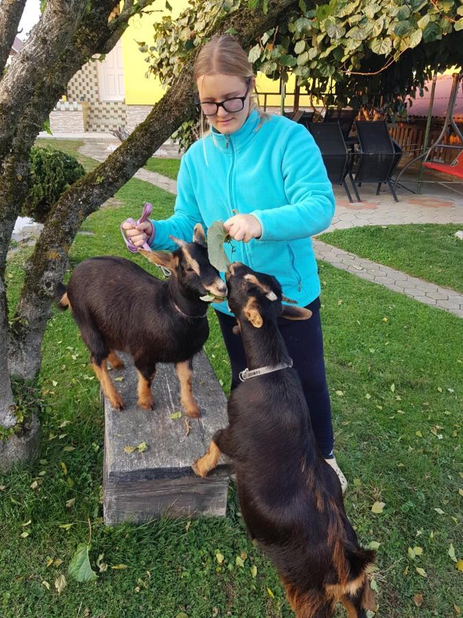 Homestay Kapl Ledinek 외부 사진