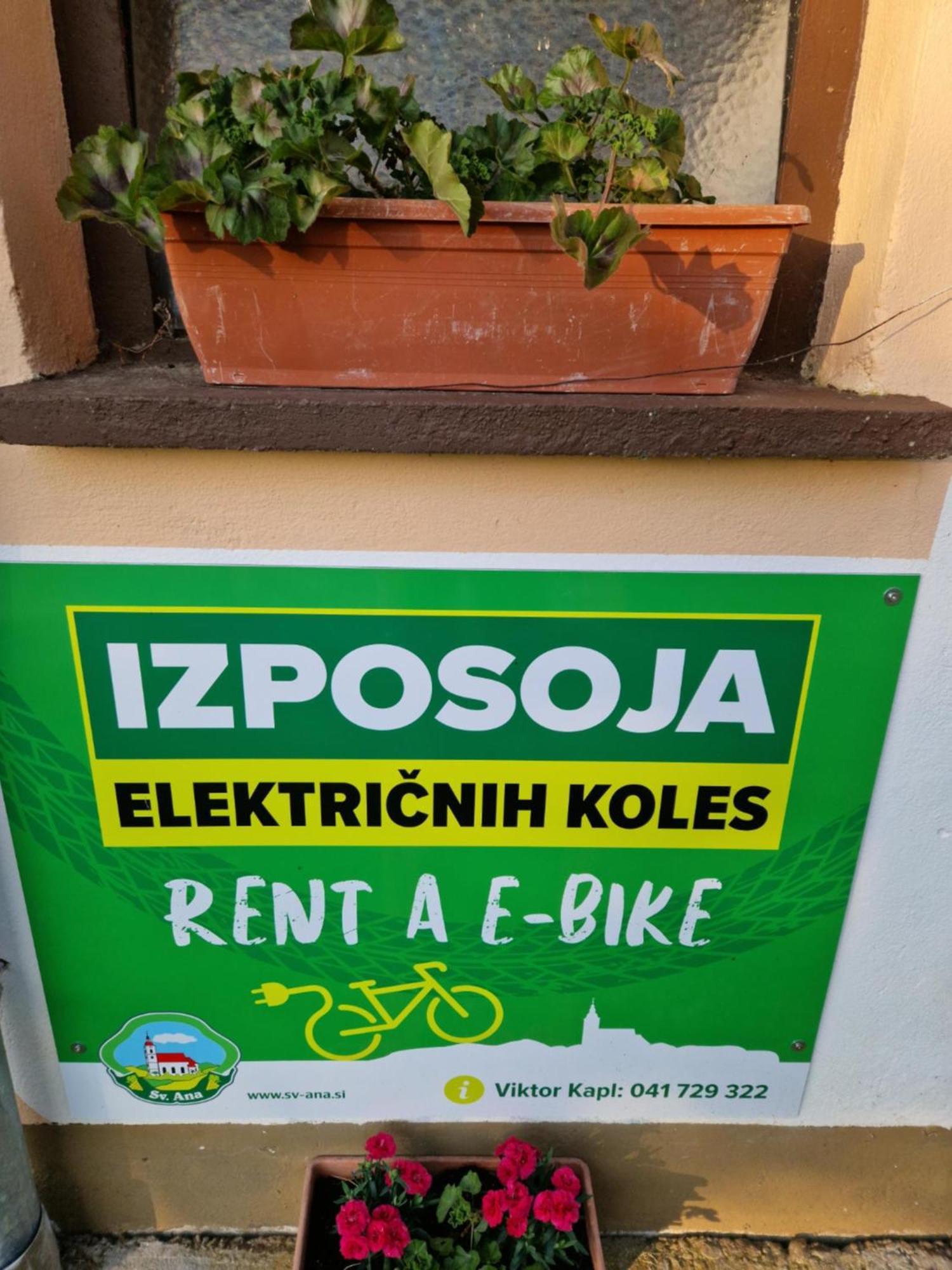 Homestay Kapl Ledinek 외부 사진