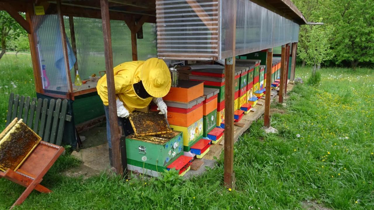 Homestay Kapl Ledinek 외부 사진