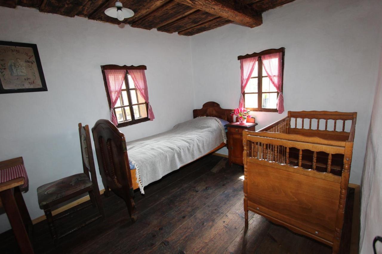 Homestay Kapl Ledinek 외부 사진