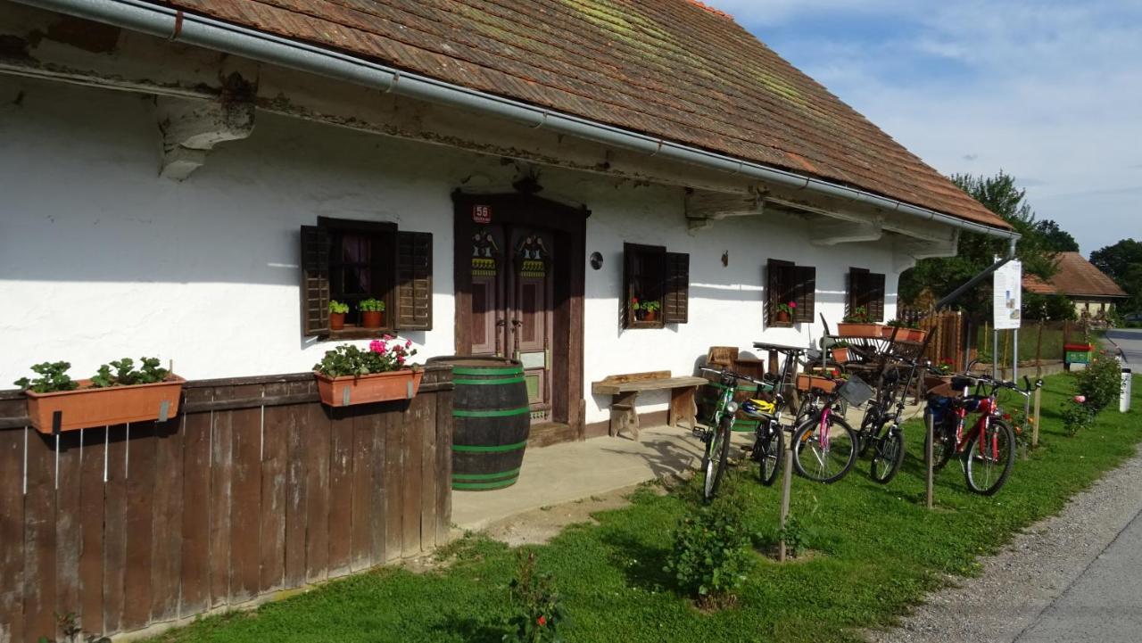 Homestay Kapl Ledinek 외부 사진