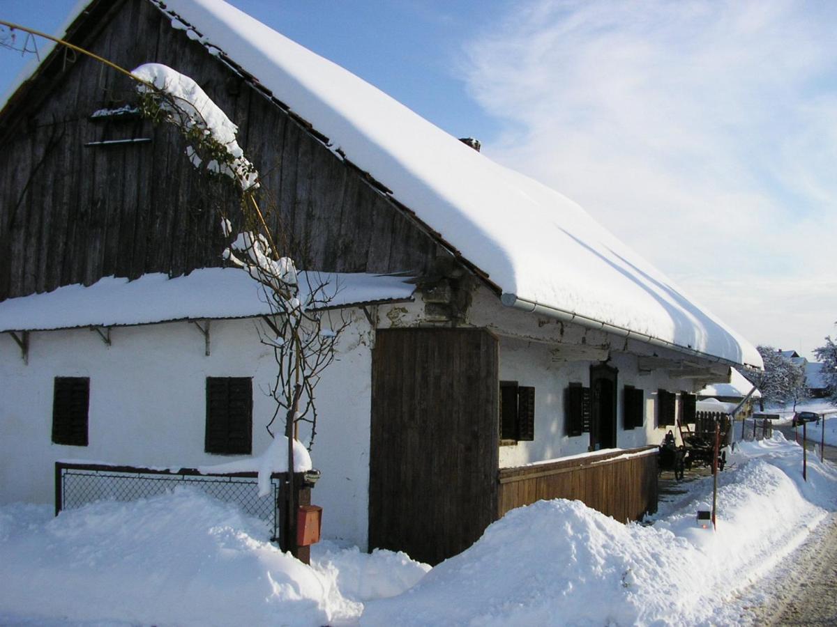 Homestay Kapl Ledinek 외부 사진