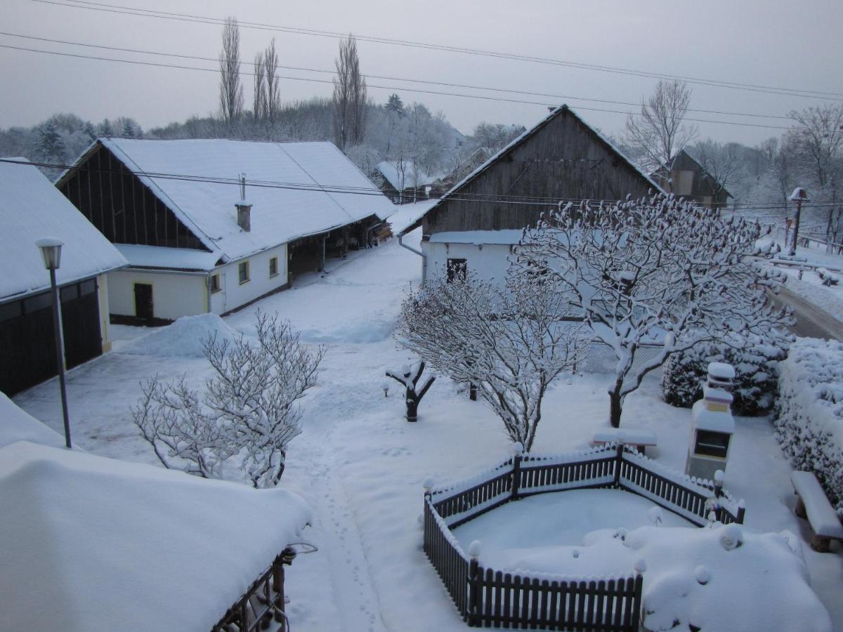 Homestay Kapl Ledinek 외부 사진